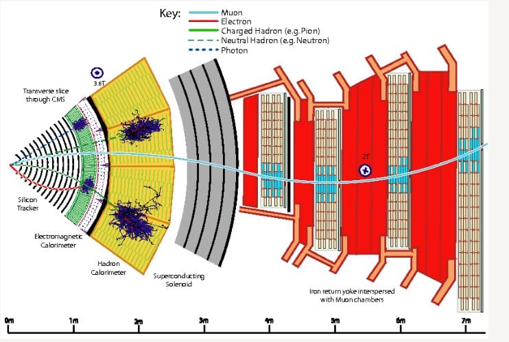 CMS detector Cern